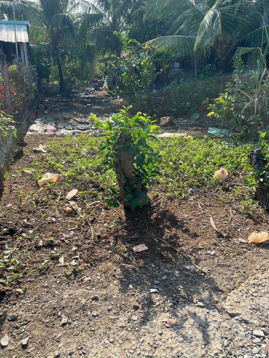 Đất vườn giá rẻ 325m2 mt xe máy xã Tân Chánh chỉ 340tr 2