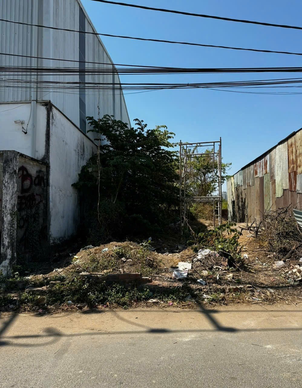 Cần bán Đất đường 6, Phường Long Bình, Diện tích 130m², Giá  tốt 2