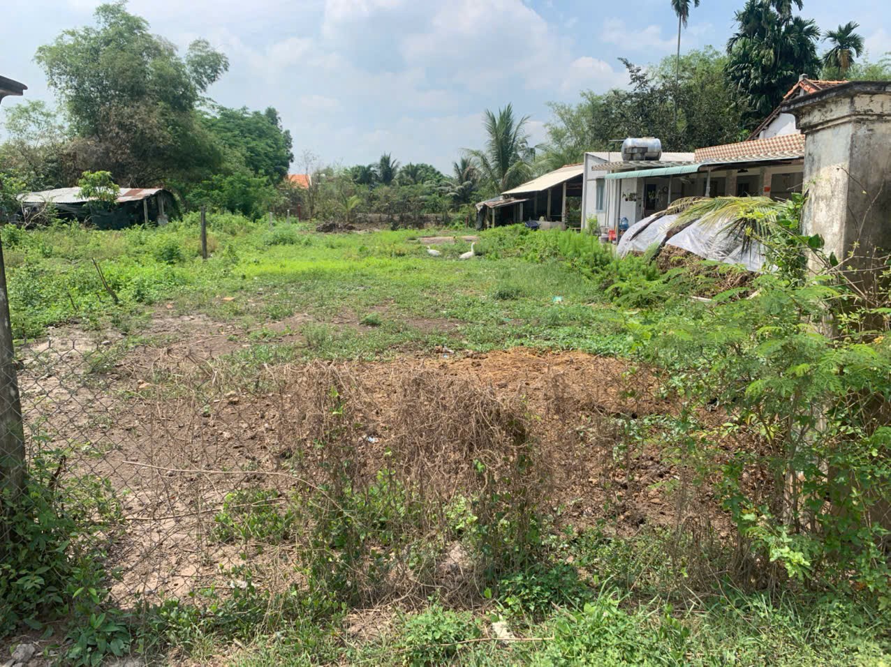 Bán đất thổ cư nở hậu 12m đường beton xã Đức Lập Hạ dt 517m2 giá 2,9 tỷ 3
