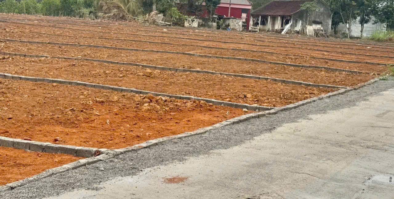 Cần bán nhanh mảnh đất 250m đã tách 2 sổ sát vách KCN lơn Thạch Quảng.