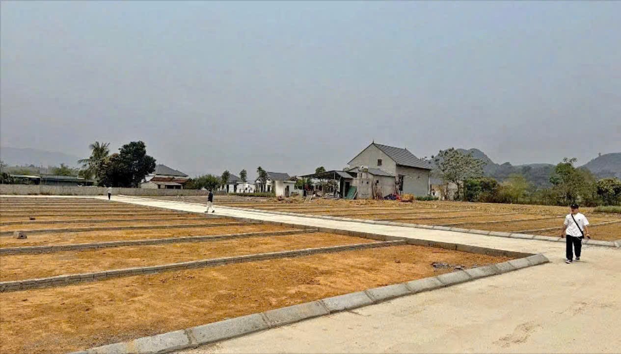 Cần bán nhanh mảnh đất 250m đã tách 2 sổ sát vách KCN lơn Thạch Quảng. 3