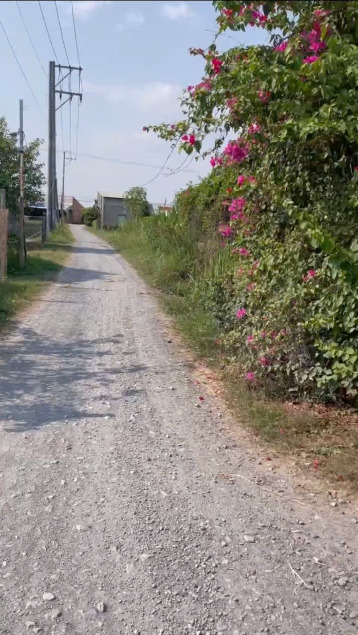 Bán đất xã Tân Mỹ, Đức Hòa dt 385m2 ( có 165m2 thổ ) đường đá xanh 5m giá 1,9 tỷ