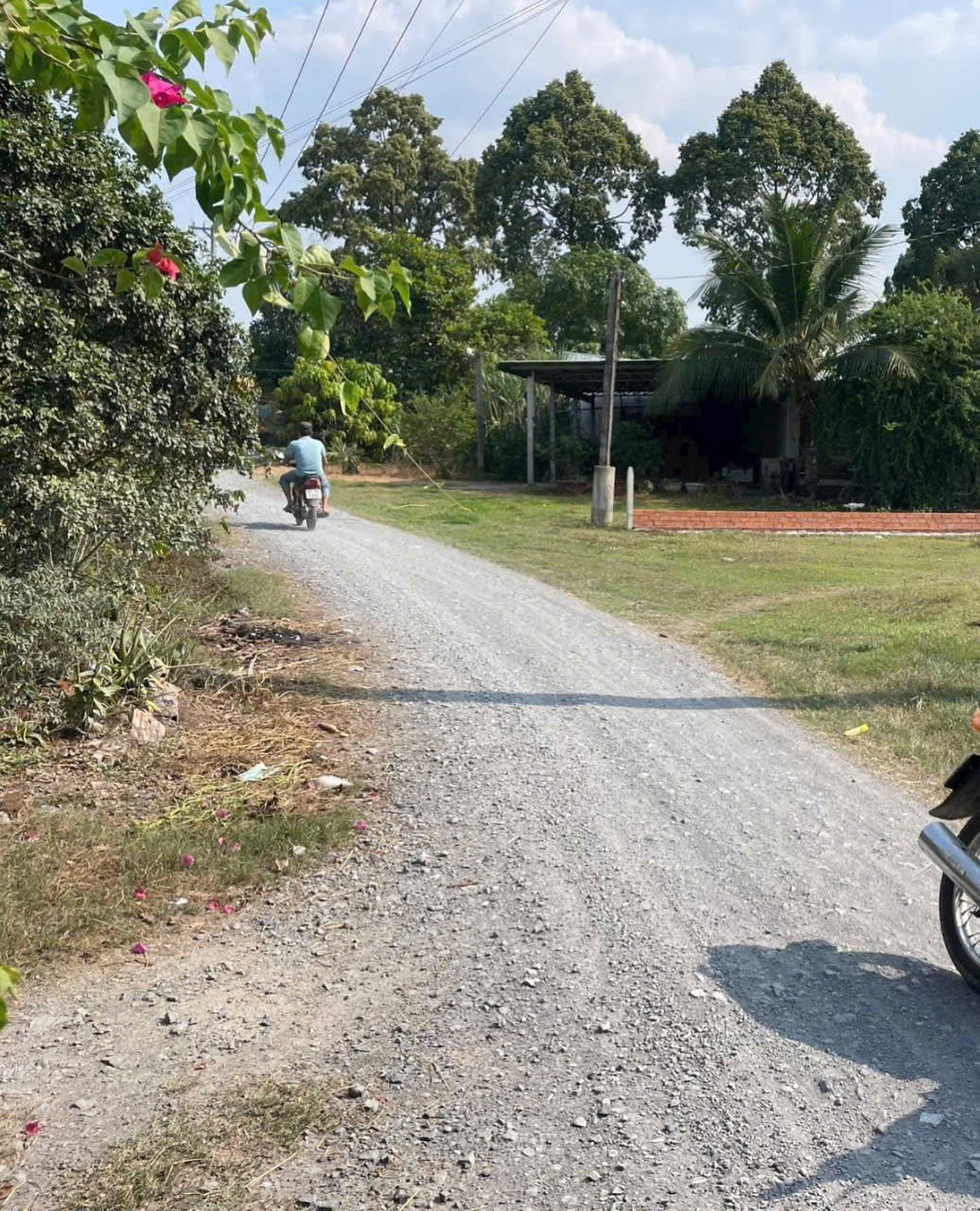 Bán đất xã Tân Mỹ, Đức Hòa dt 385m2 ( có 165m2 thổ ) đường đá xanh 5m giá 1,9 tỷ 3