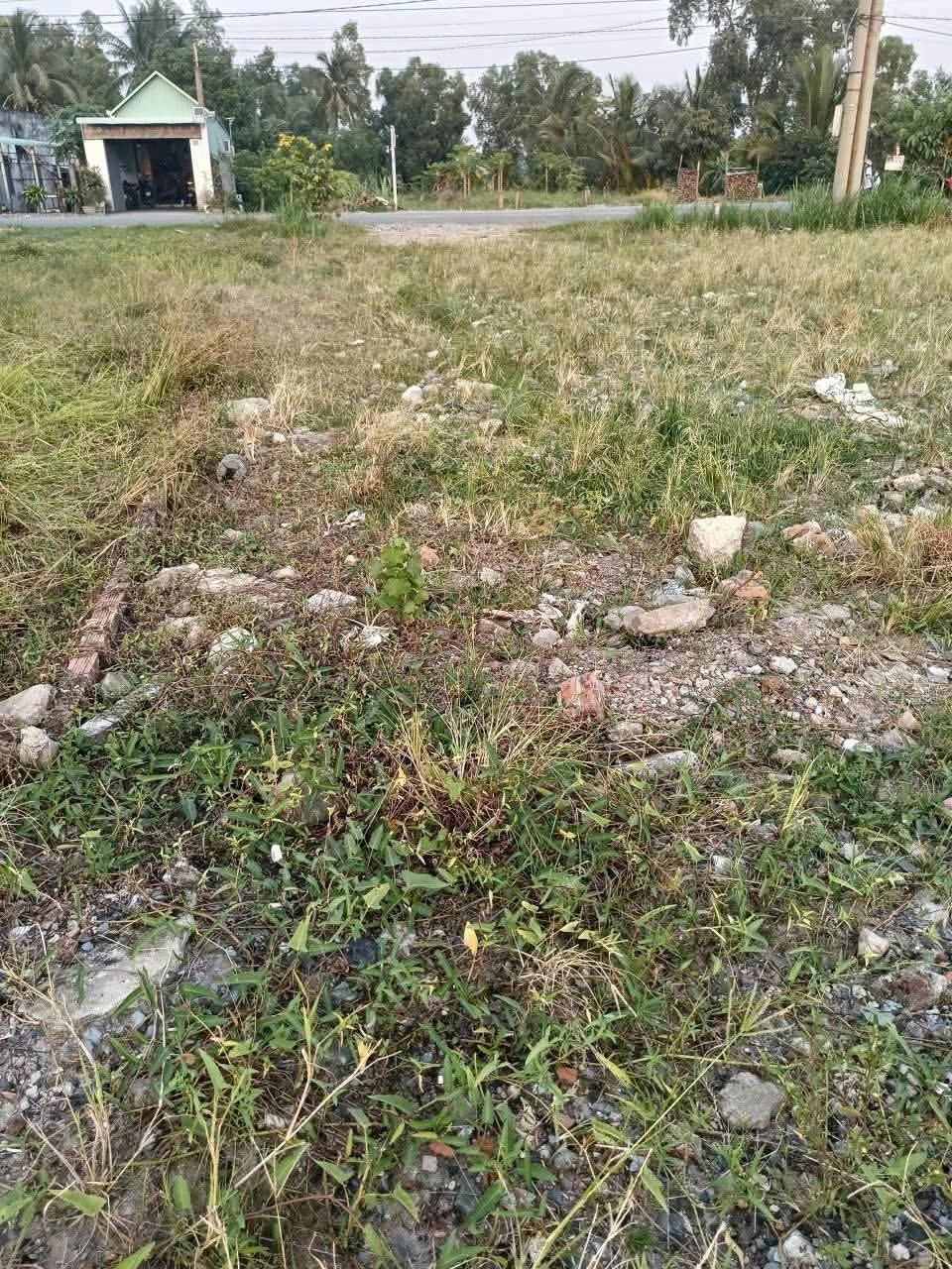 Bán đất đường Phước Toàn , Long Hiệp  dt 453m2 ( 110m2 thổ + 343m2 đất lúa) giá 2,15 tỷ 2