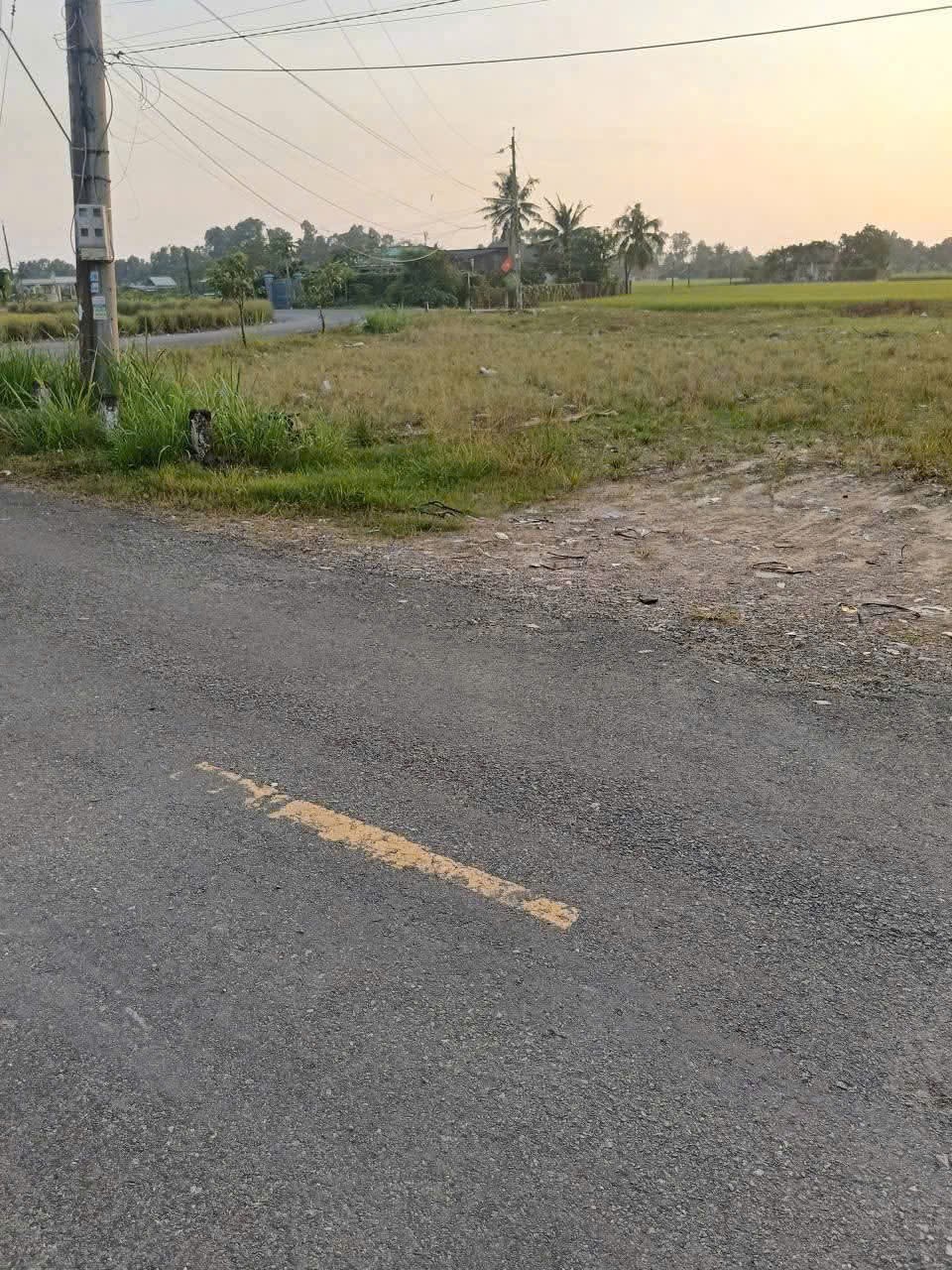 Bán đất đường Phước Toàn , Long Hiệp  dt 453m2 ( 110m2 thổ + 343m2 đất lúa) giá 2,15 tỷ 3