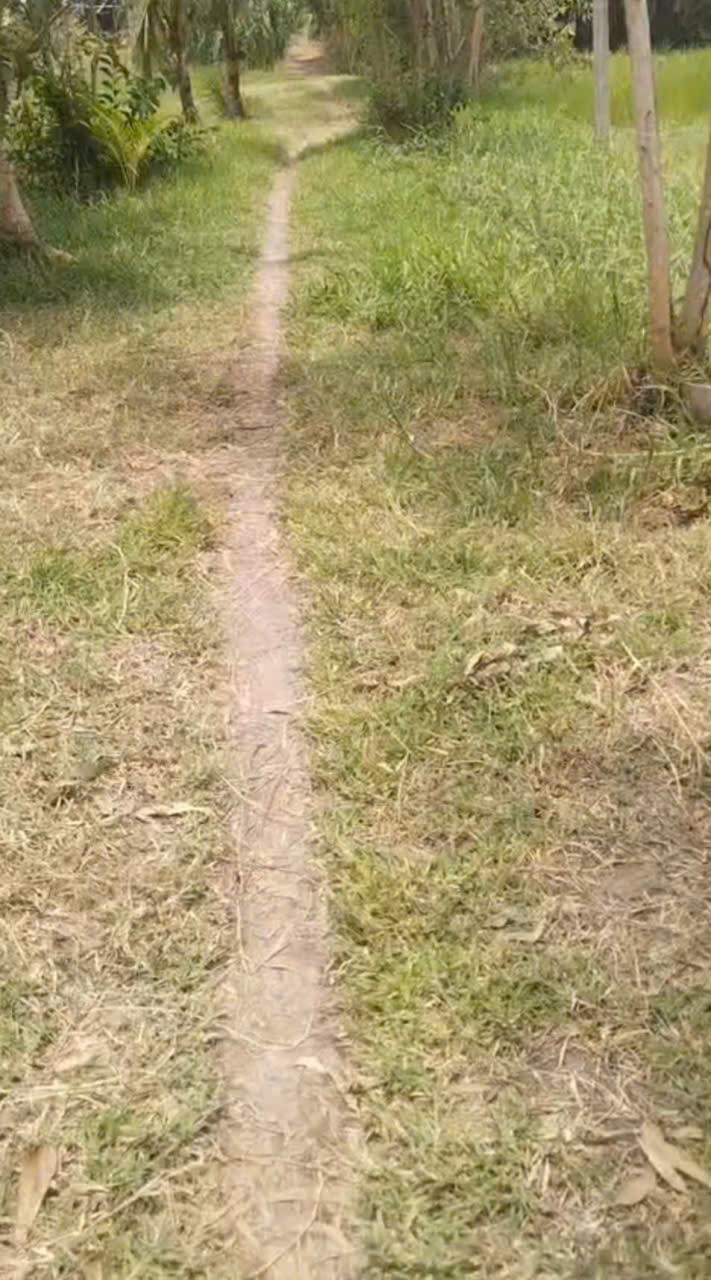 Bán đất full thổ cư xã Mỹ Thạnh Tây , Đức Huệ tdt 4077m2 giá 4,5 tỷ 3