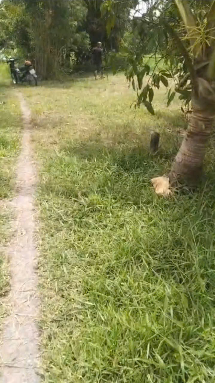 Bán đất full thổ cư xã Mỹ Thạnh Tây , Đức Huệ tdt 4077m2 giá 4,5 tỷ 6