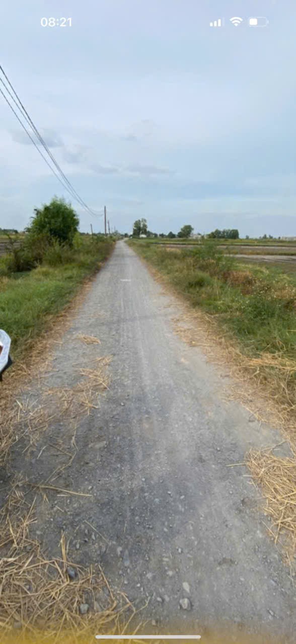 Bán đất thổ cư xã Đức Lập Hạ dt 500m2 đường đá xanh 6m giá 2,3 tỷ 5