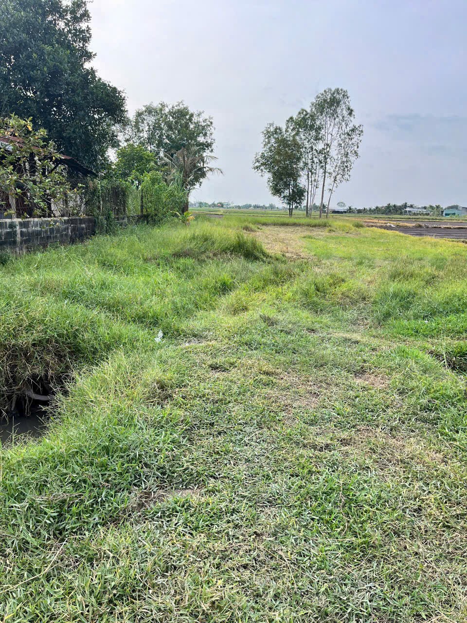 Bán đất thổ cư xã Đức Lập Hạ dt 500m2 đường đá xanh 6m giá 2,3 tỷ 6