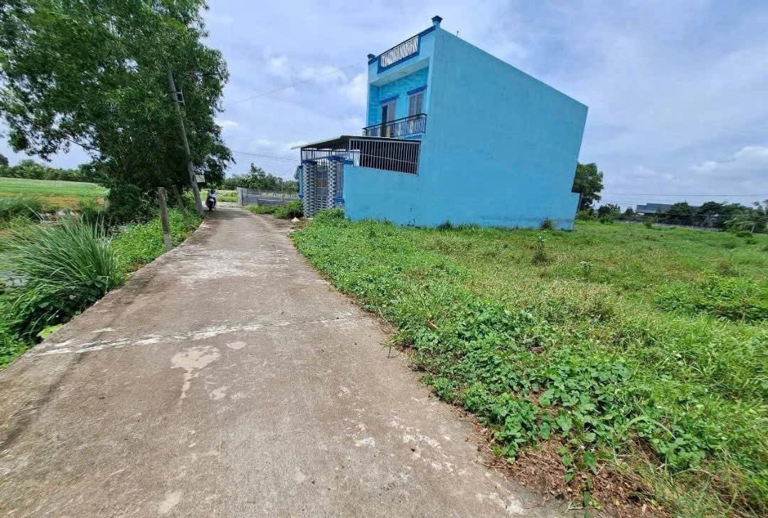 Bán đất thổ cư xã Long Cang, Cần Đước dt 262m2 , đường đan 3,5m giá 1,35 tỷ 3