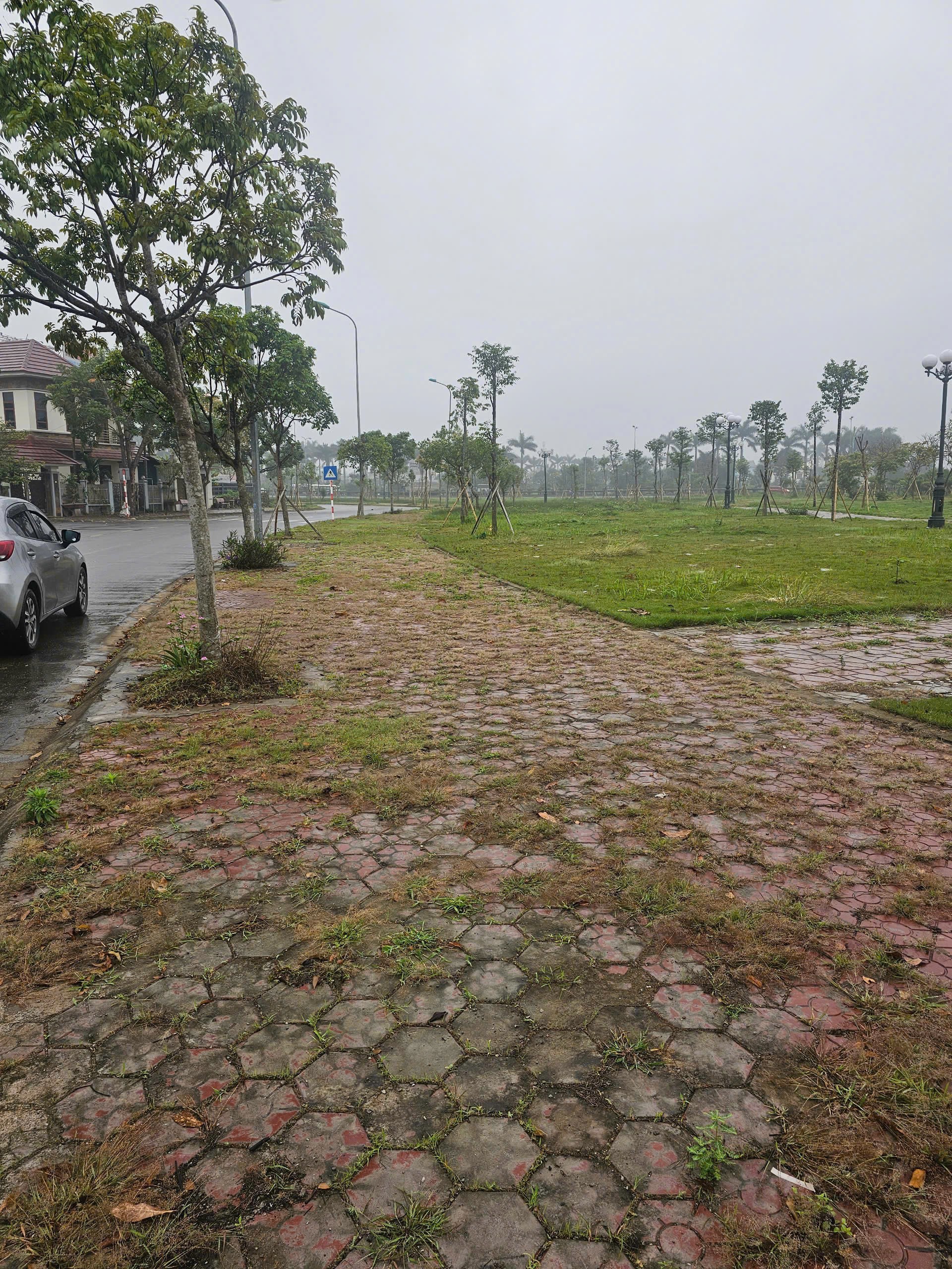 Cần bán Đất Phường Nhị Châu, Hải Dương, Diện tích 233m², Giá 170 Triệu/m²