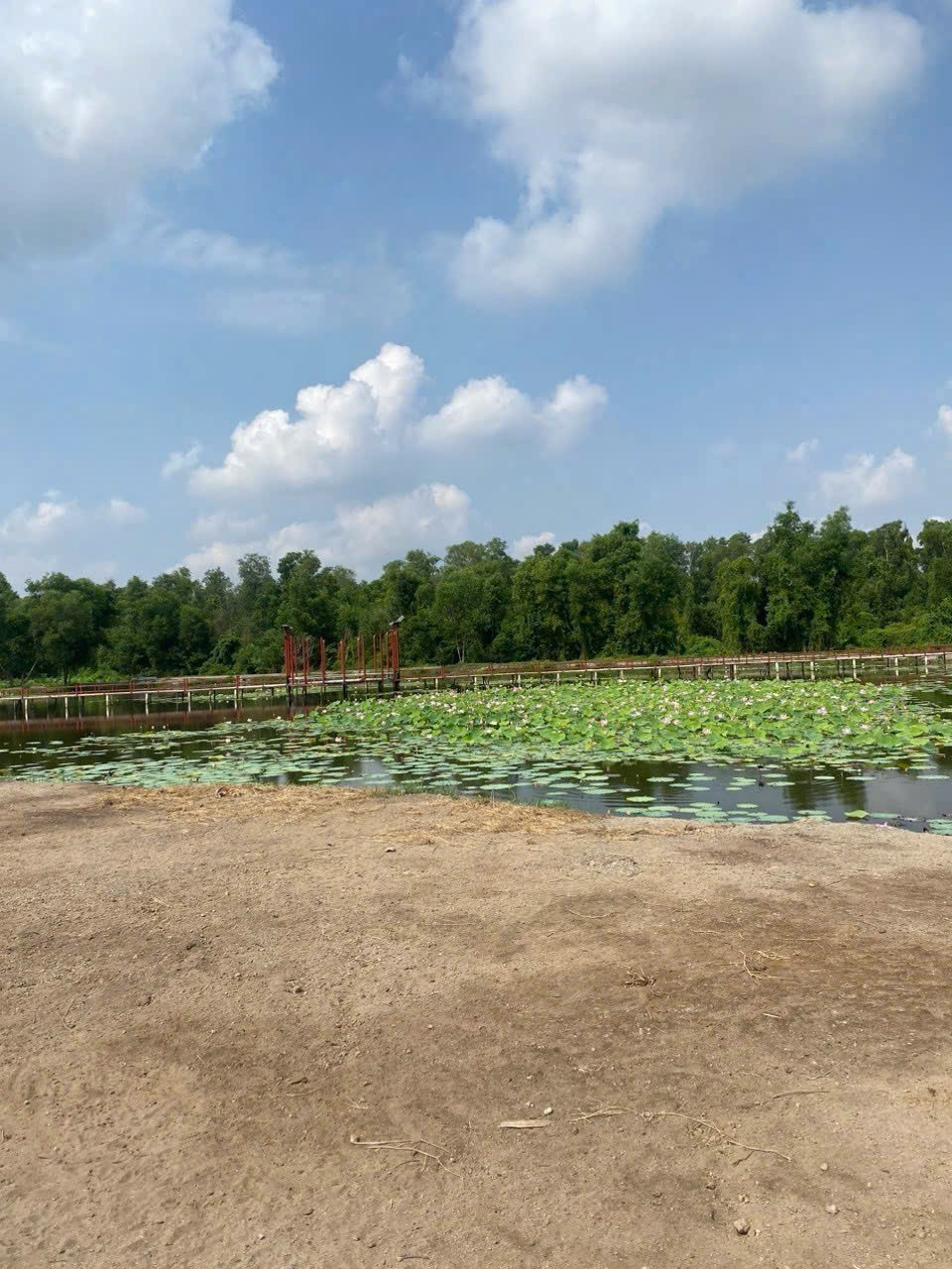 Bán đất vườn / Rạch Láng The , xã Phú Hòa Đông dt 7500m2 giá 7 tỷ 4