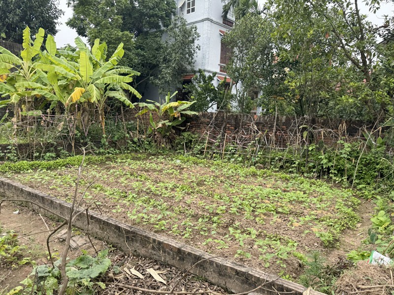 Cần bán 62,9m2 đất Giao Tất A, Xã Thuận An. Đường rộng 2,5m, đang được trải nhựa sạch sẽ 3