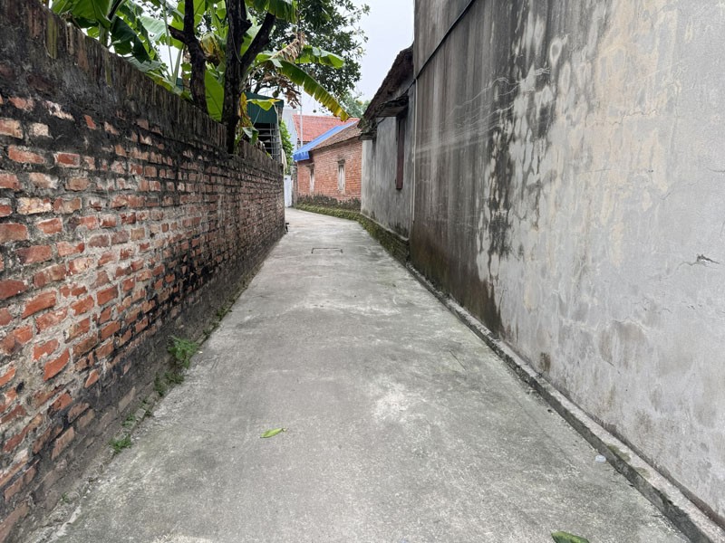 Cần bán 62,9m2 đất Giao Tất A, Xã Thuận An. Đường rộng 2,5m, đang được trải nhựa sạch sẽ 4