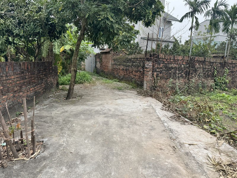 Cần bán 62,9m2 đất Giao Tất A, Xã Thuận An. Đường rộng 2,5m, đang được trải nhựa sạch sẽ 5