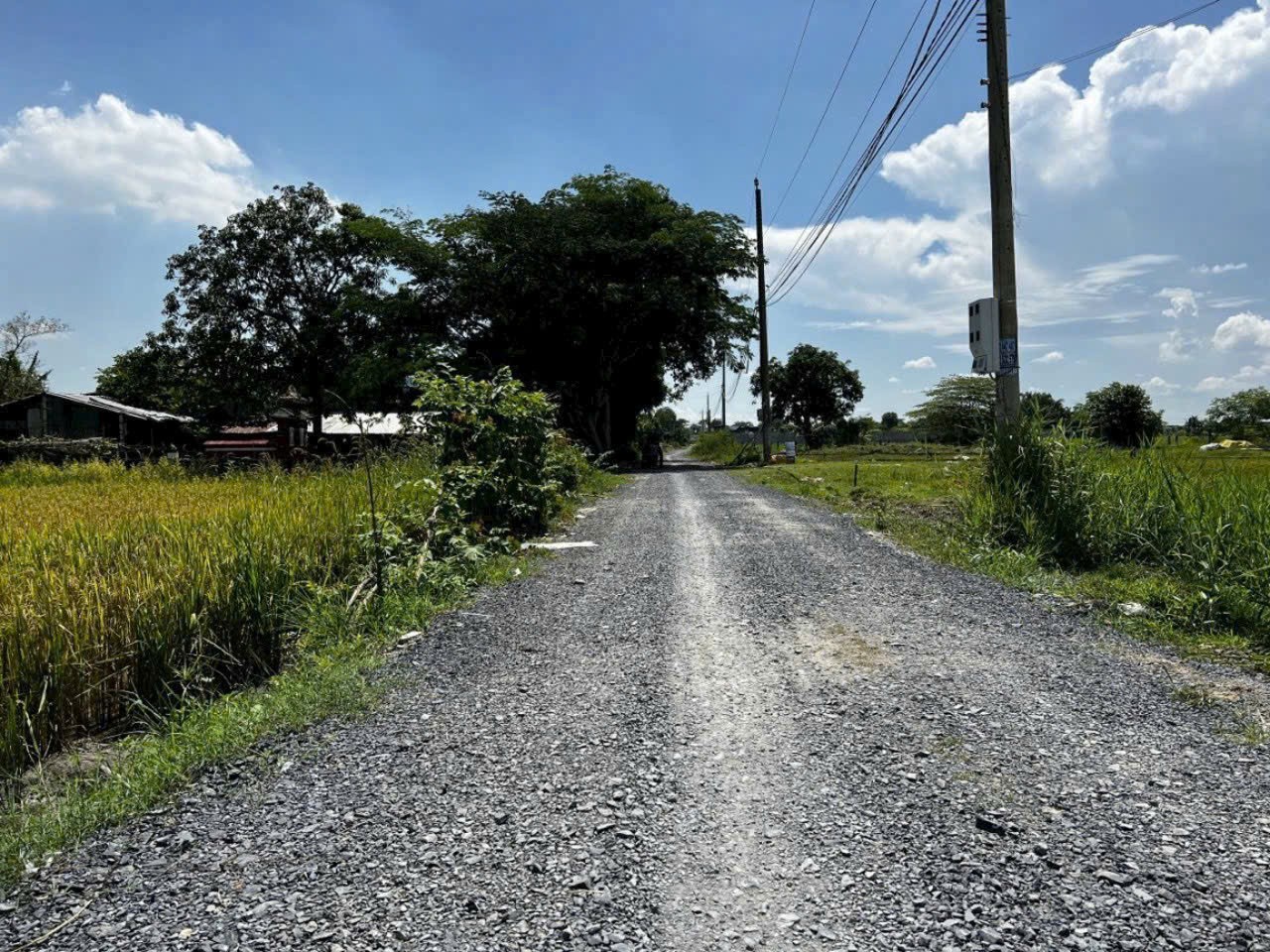 Nhà vườn mini full thổ xã Hòa Khánh Đông tdt 350m2 , 2pn , 2wc giá 2,6 tỷ 7