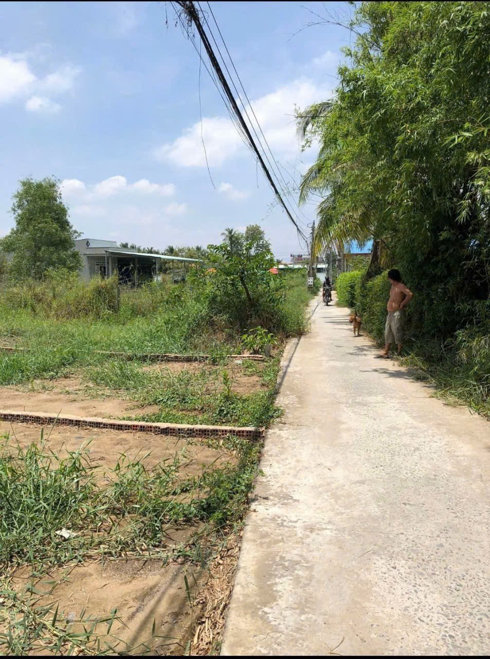 Bán đất thổ cư góc 2 mt hẻm ấp Phước Toàn, xã Long Hiệp dt 150m2 giá 1,5 tỷ 4