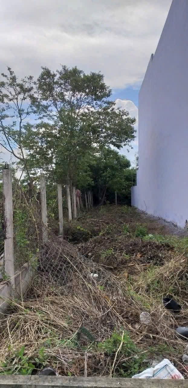 Bán đất thổ cư hẻm xã Phước Lý, Cần Giuộc dt 120m2 giá 1,6 tỷ 2