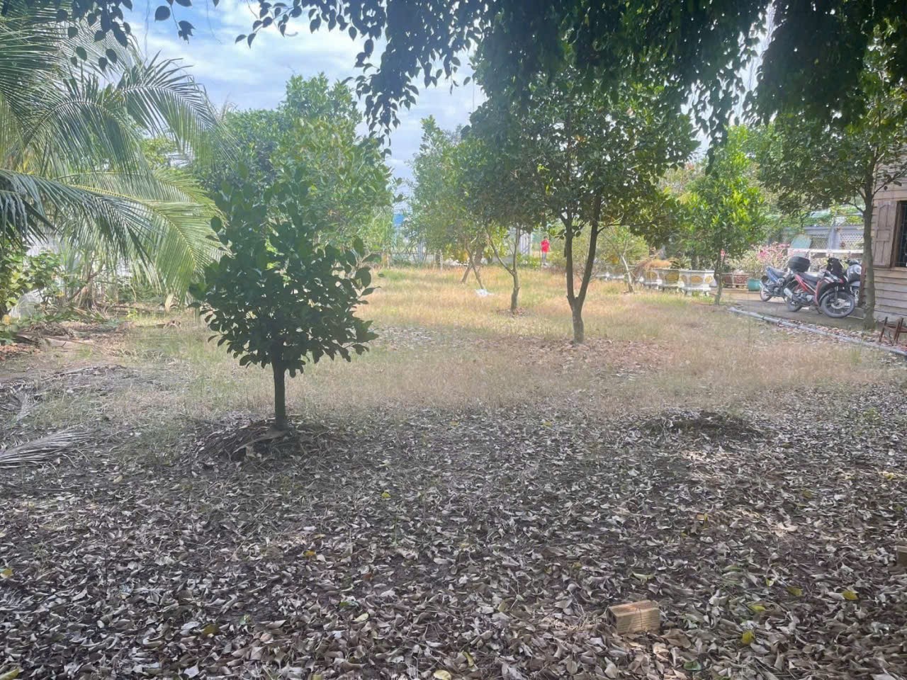 Bán nhà vườn xã Long Cang , Cần Đước tdt hơn 1200m2 đất + vườn gía 3,95 tỷ