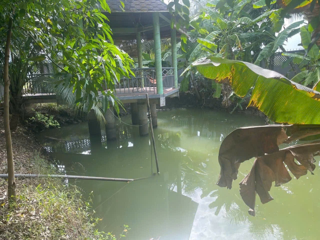 Bán nhà vườn xã Long Cang , Cần Đước tdt hơn 1200m2 đất + vườn gía 3,95 tỷ 2