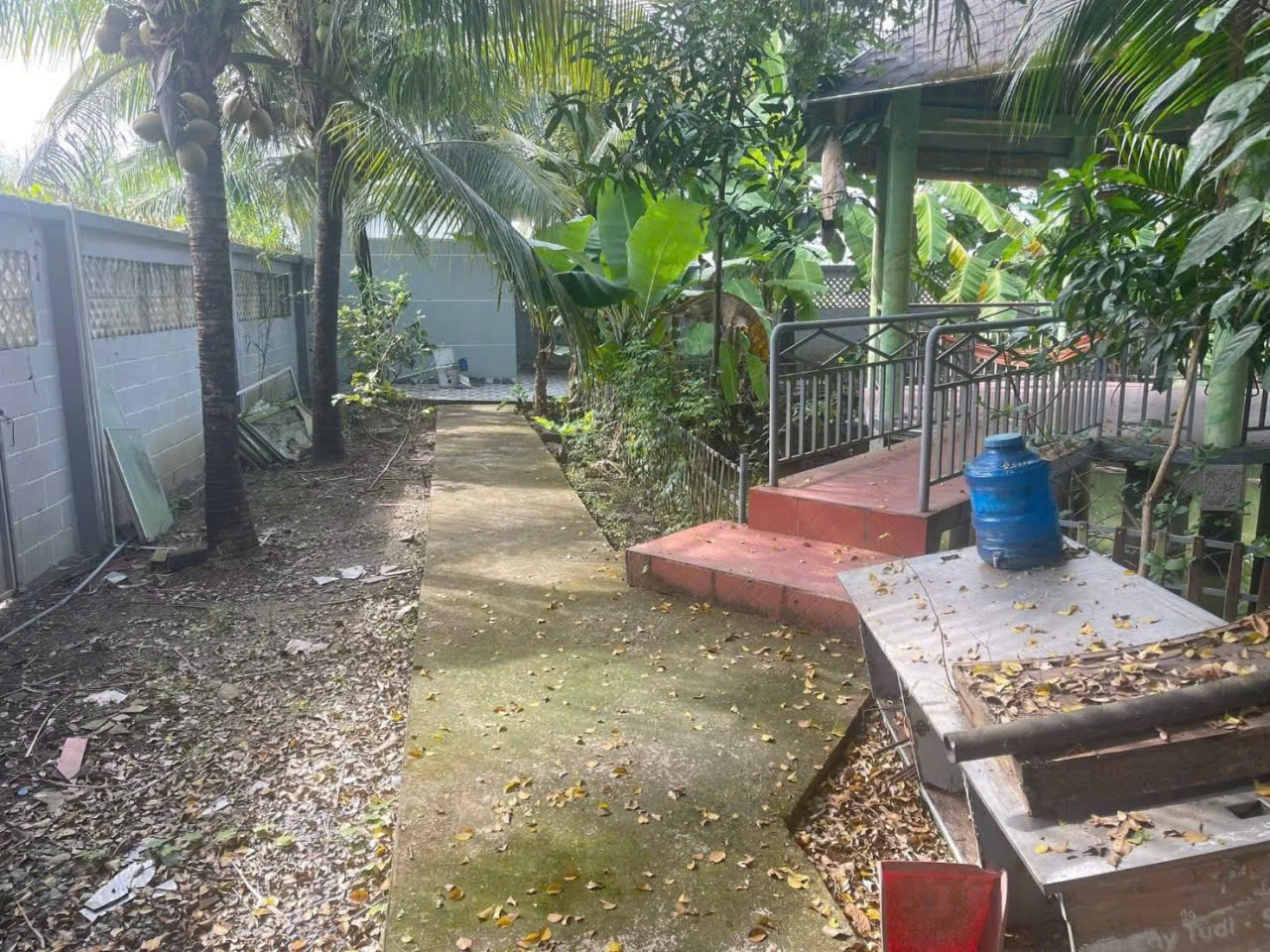 Bán nhà vườn xã Long Cang , Cần Đước tdt hơn 1200m2 đất + vườn gía 3,95 tỷ 3