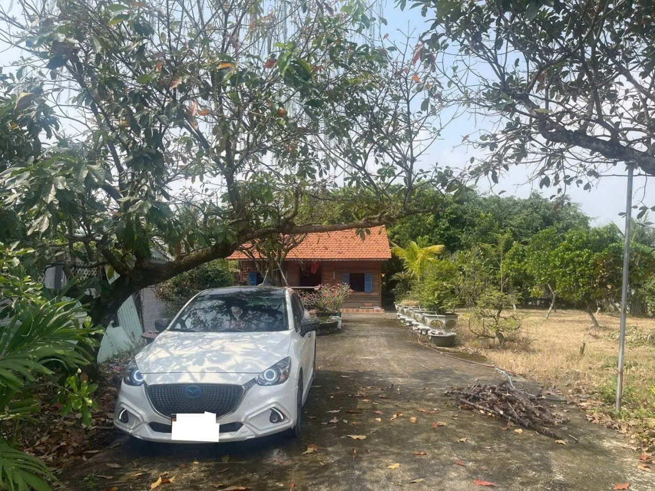 Bán nhà vườn xã Long Cang , Cần Đước tdt hơn 1200m2 đất + vườn gía 3,95 tỷ 11