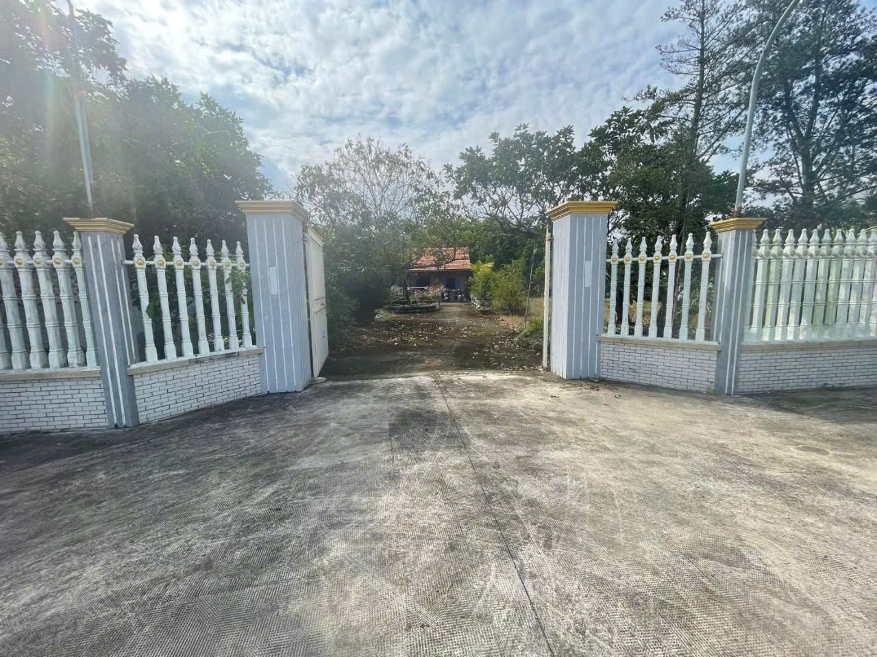 Bán nhà vườn xã Long Cang , Cần Đước tdt hơn 1200m2 đất + vườn gía 3,95 tỷ 12