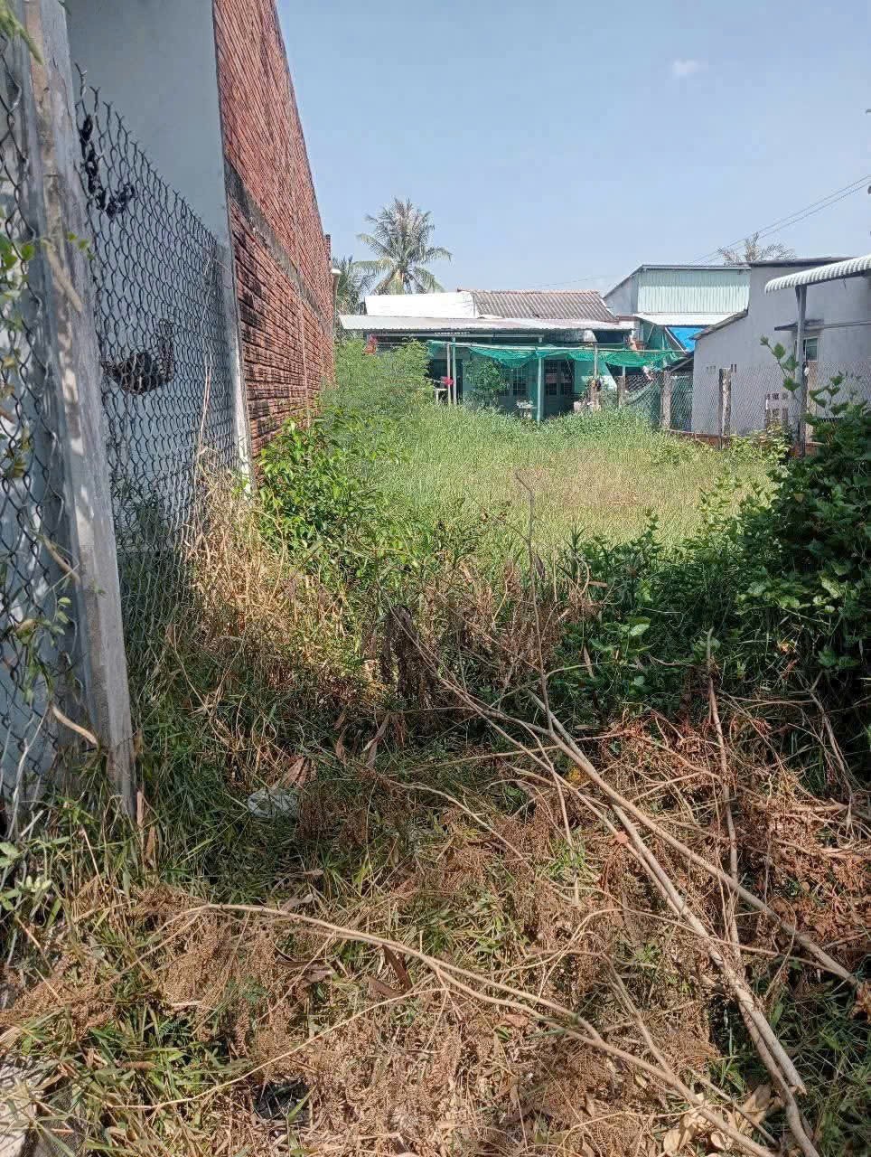 Bán đất hẻm xe máy xã Phước Vân , Cần Đước dt 172m2 ( có 45m2 thổ) giá 690 triệu 3