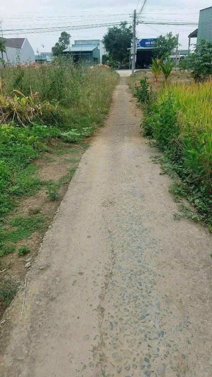 Bán đất hẻm xe máy xã Phước Vân , Cần Đước dt 172m2 ( có 45m2 thổ) giá 690 triệu 4