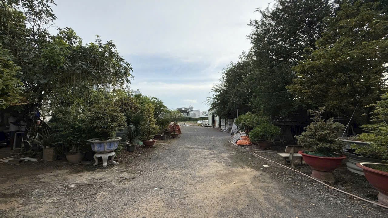 ĐẤT + XƯỞNG (28x138) MẶT TIỀN VÕ THỊ HỒI, XUÂN THỚI ĐÔNG, HÓC MÔN 3