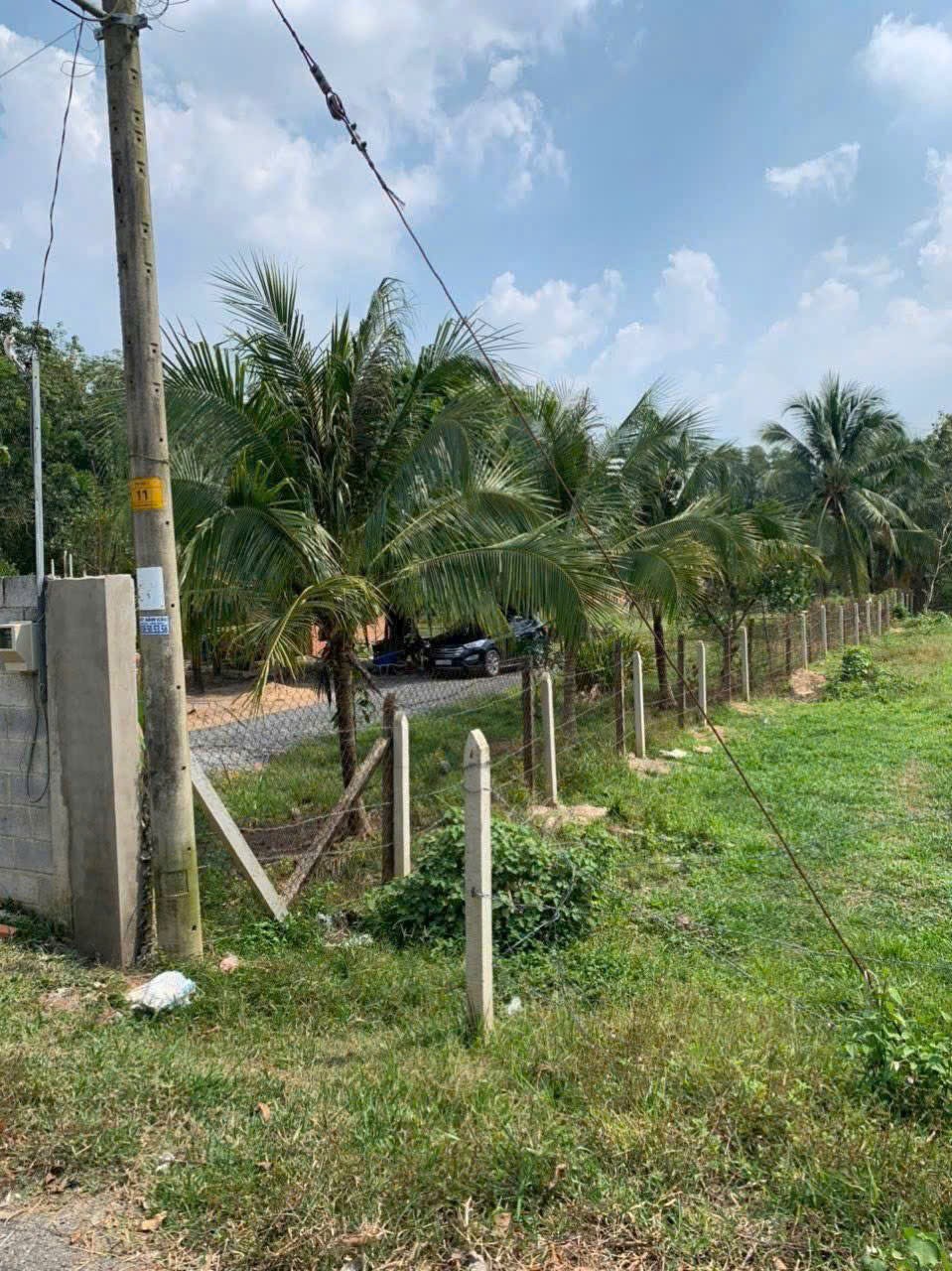 Bán đất mặt tiền Hà Thị Kiểm , xã Phú Mỹ Hưng tdt 1711m2 ( có 500m2 thổ) giá 6,5 tỷ 4