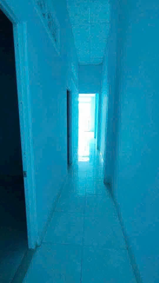 Bán nhà cấp 4 trong KCN Phúc Giang ,Long Định, Cần Đước dt 80m2 2pn, 1wc giá giảm còn 1,35 tỷ 4