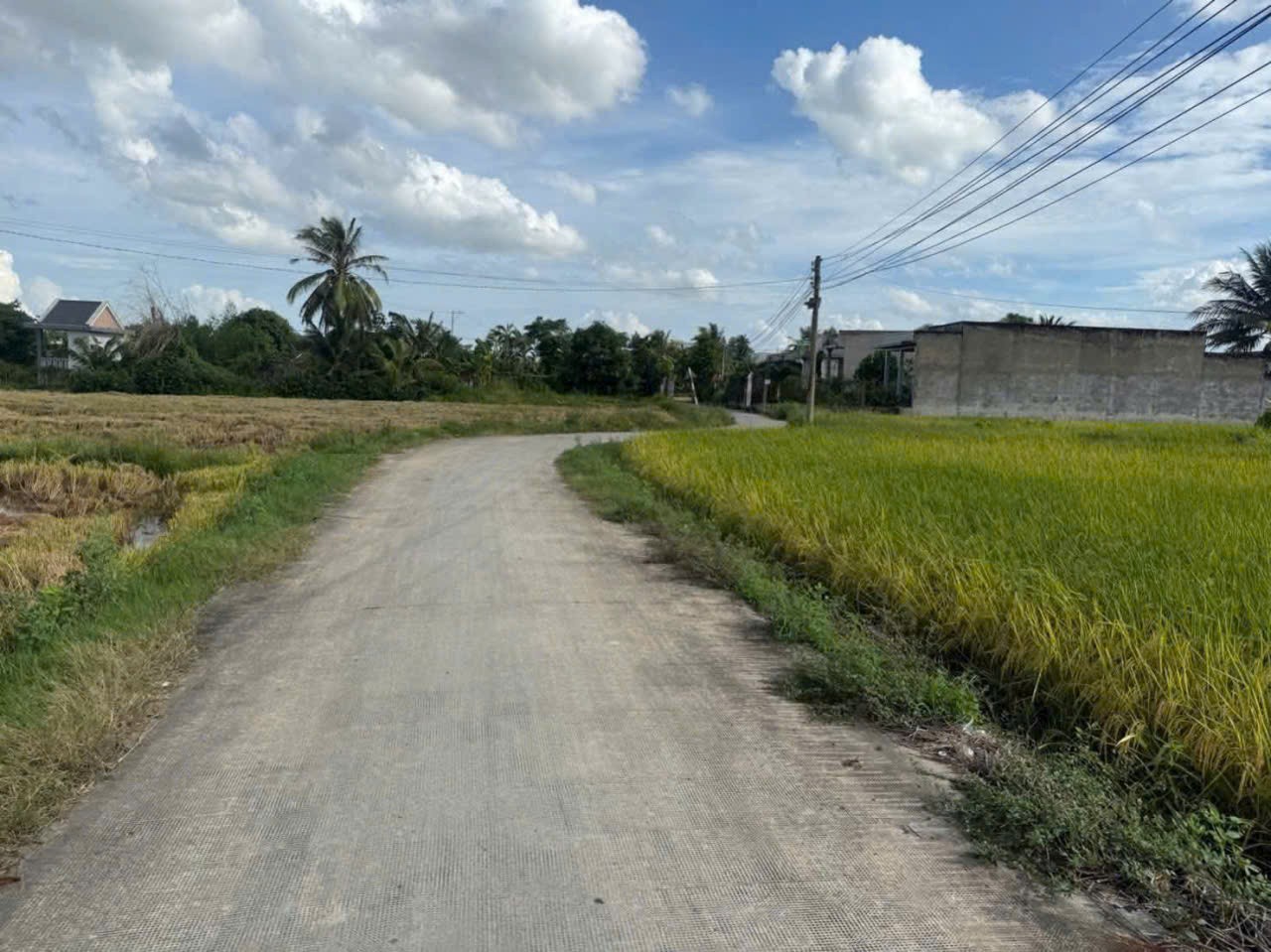 Bán đất thổ vườn xã Mỹ Yên, Bến Lức tdt 200m2 ( có 720m2 thổ cư ) giá 7 tỷ 2