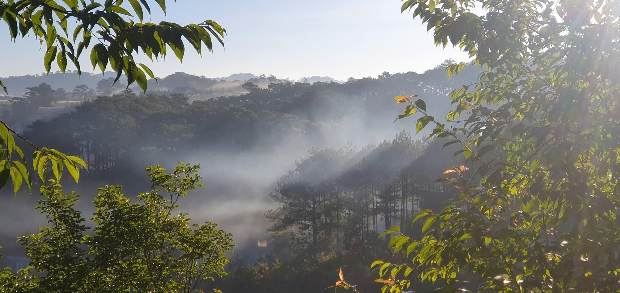 CHO THUÊ ĐẤT NÔNG NGHIỆP VIEW RỪNG THÔNG – P. CAM LY (P.5), ĐÀ LẠT 2