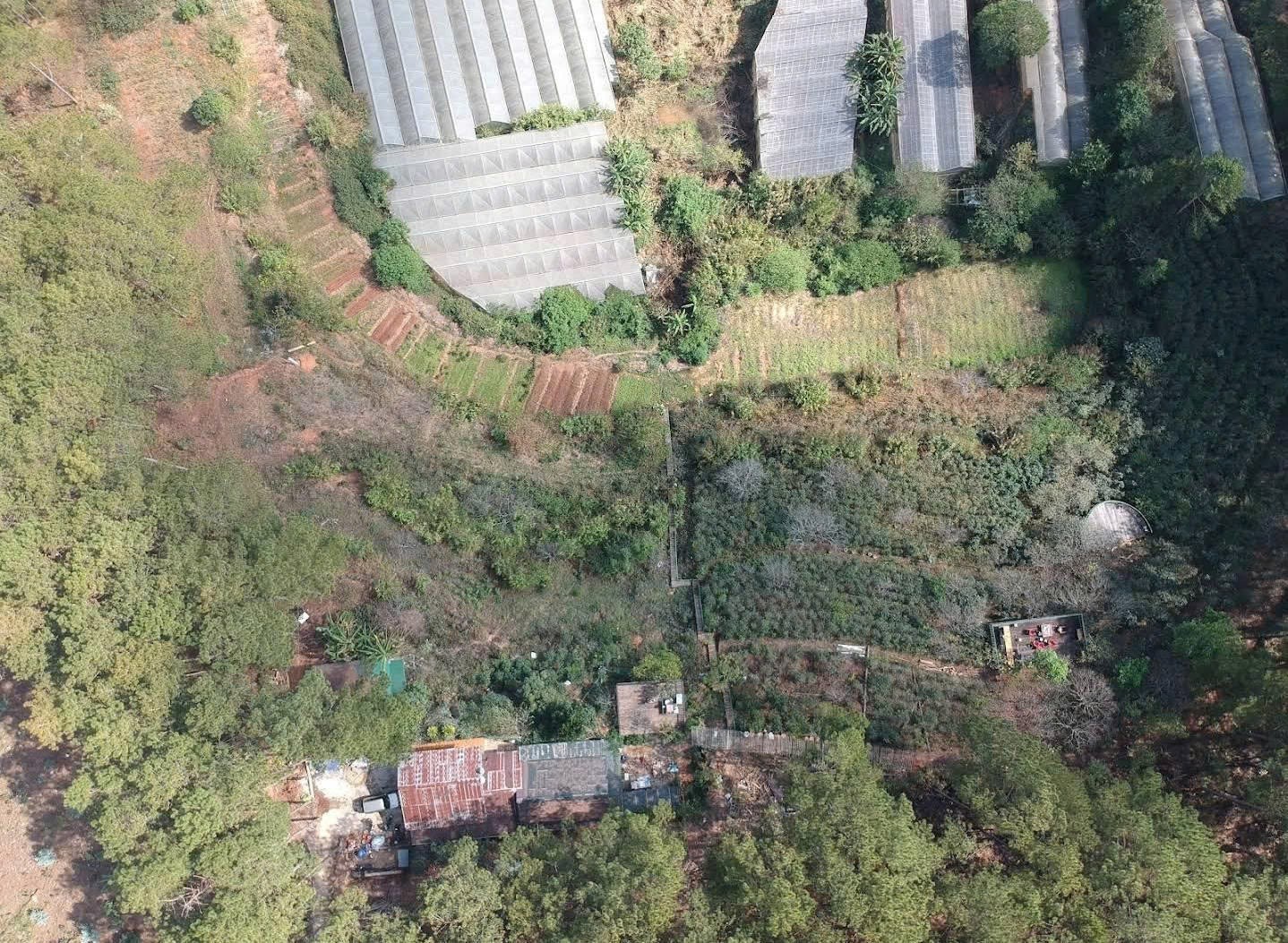 CHO THUÊ ĐẤT NÔNG NGHIỆP VIEW RỪNG THÔNG – P. CAM LY (P.5), ĐÀ LẠT 4