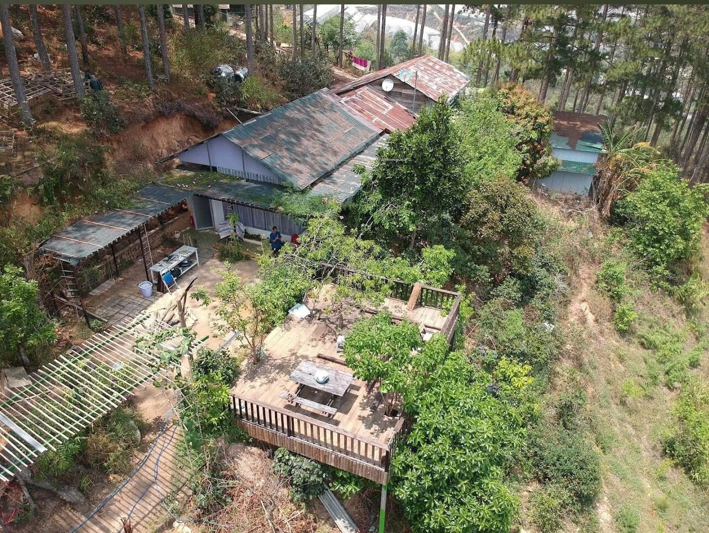 CHO THUÊ ĐẤT NÔNG NGHIỆP VIEW RỪNG THÔNG – P. CAM LY (P.5), ĐÀ LẠT 3