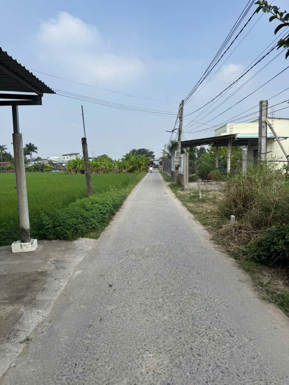 Bán nền thổ cư 2 mặt tiền xã An Thạnh, Bến Lức dt 200m2 giá 1,4 tỷ 5