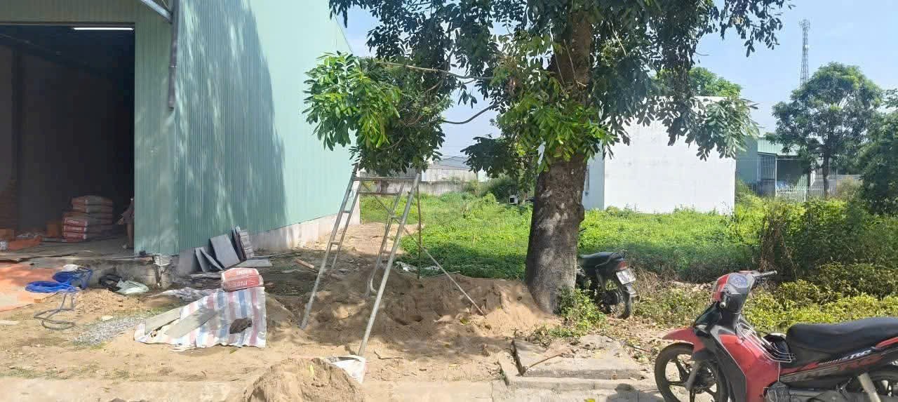 Bán nền thổ cư đường số 2 KDC Hoàng Long , thị trấn Bến Lức dt 110m2 giá 2,7 tỷ 4