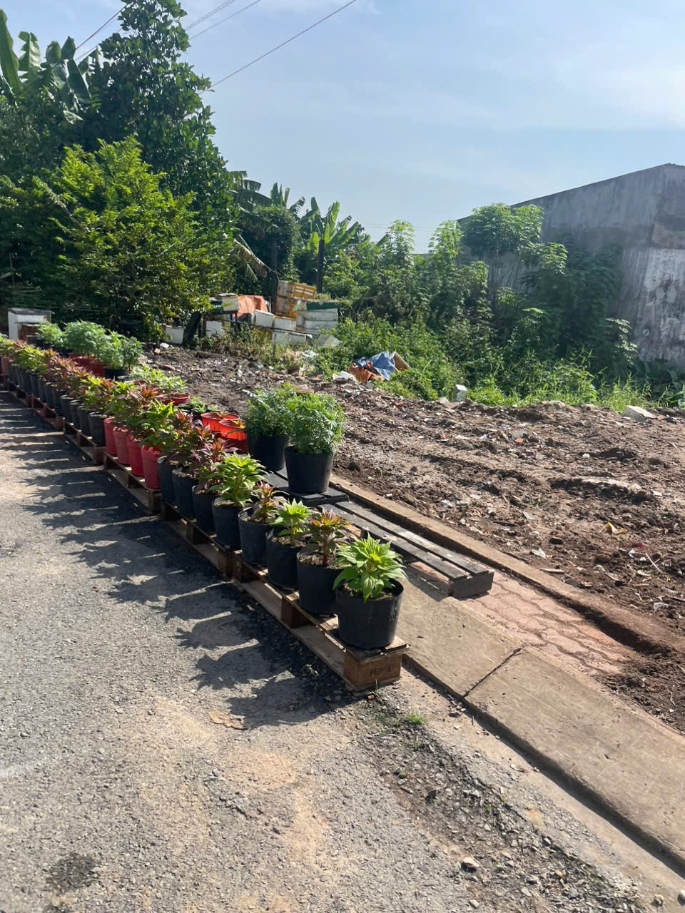 GIÁ QUÁ RẺ – ĐẤT ĐƯỜNG THÔNG XE HƠI  ĐÔNG THẠNH 7-3, SÁT VÁCH LÊ VĂN KHƯƠNG. 4