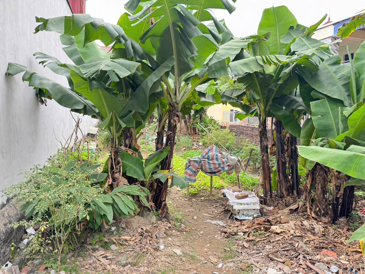 Bán lô đất thôn Gia Trung, tổ 7, Quang Minh, Mê Linh. Mặt tiền kinh doanh, gần khu công nghiệp 3