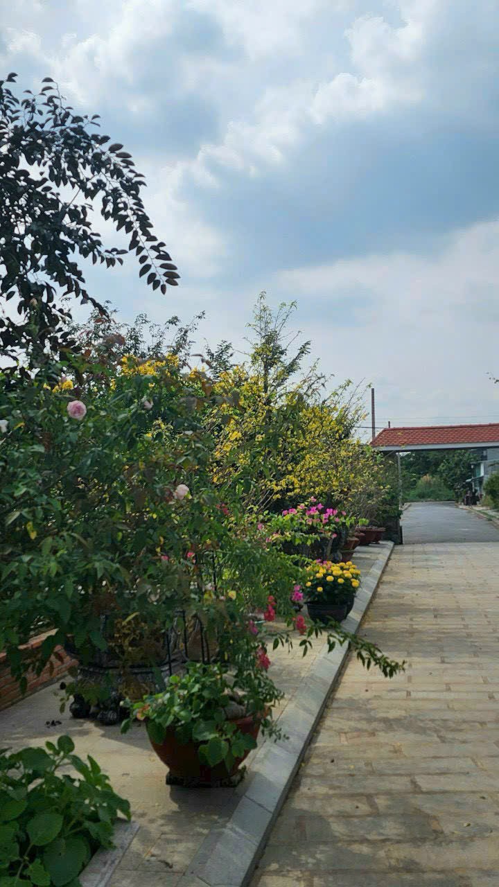 Cần bán Biệt thự Phường Trường Thạnh, Quận 9, Diện tích 4000m², Giá 66 Tỷ 3