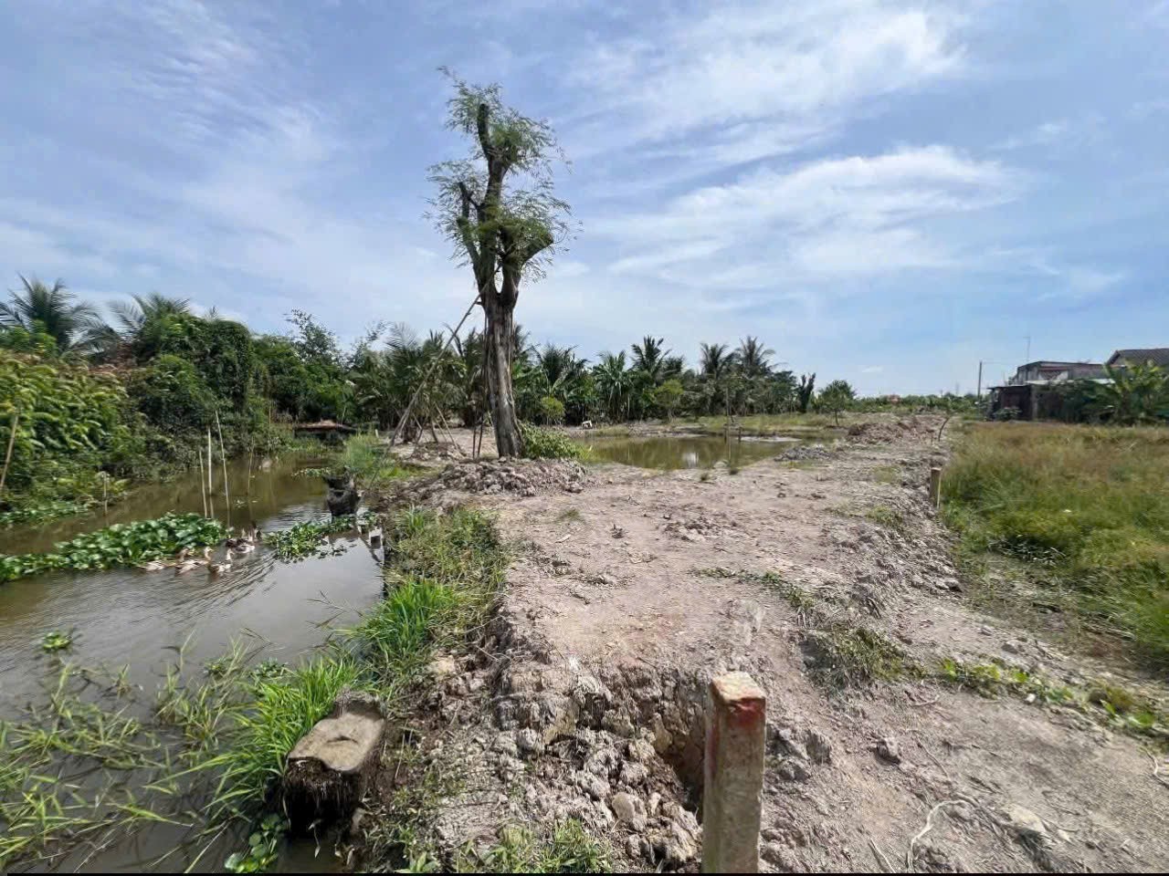 Bán đất thổ cư , đường beton xe 7 chổ , xã Nhựt Chánh , Bến Lức dt 1068m2 giá 3 tỷ 3