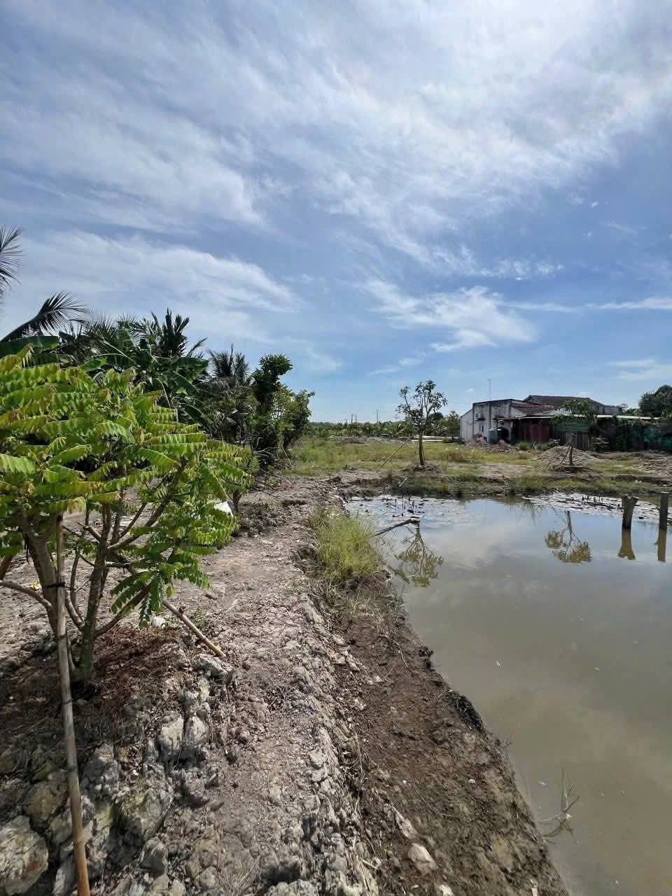 Bán đất thổ cư , đường beton xe 7 chổ , xã Nhựt Chánh , Bến Lức dt 1068m2 giá 3 tỷ 4