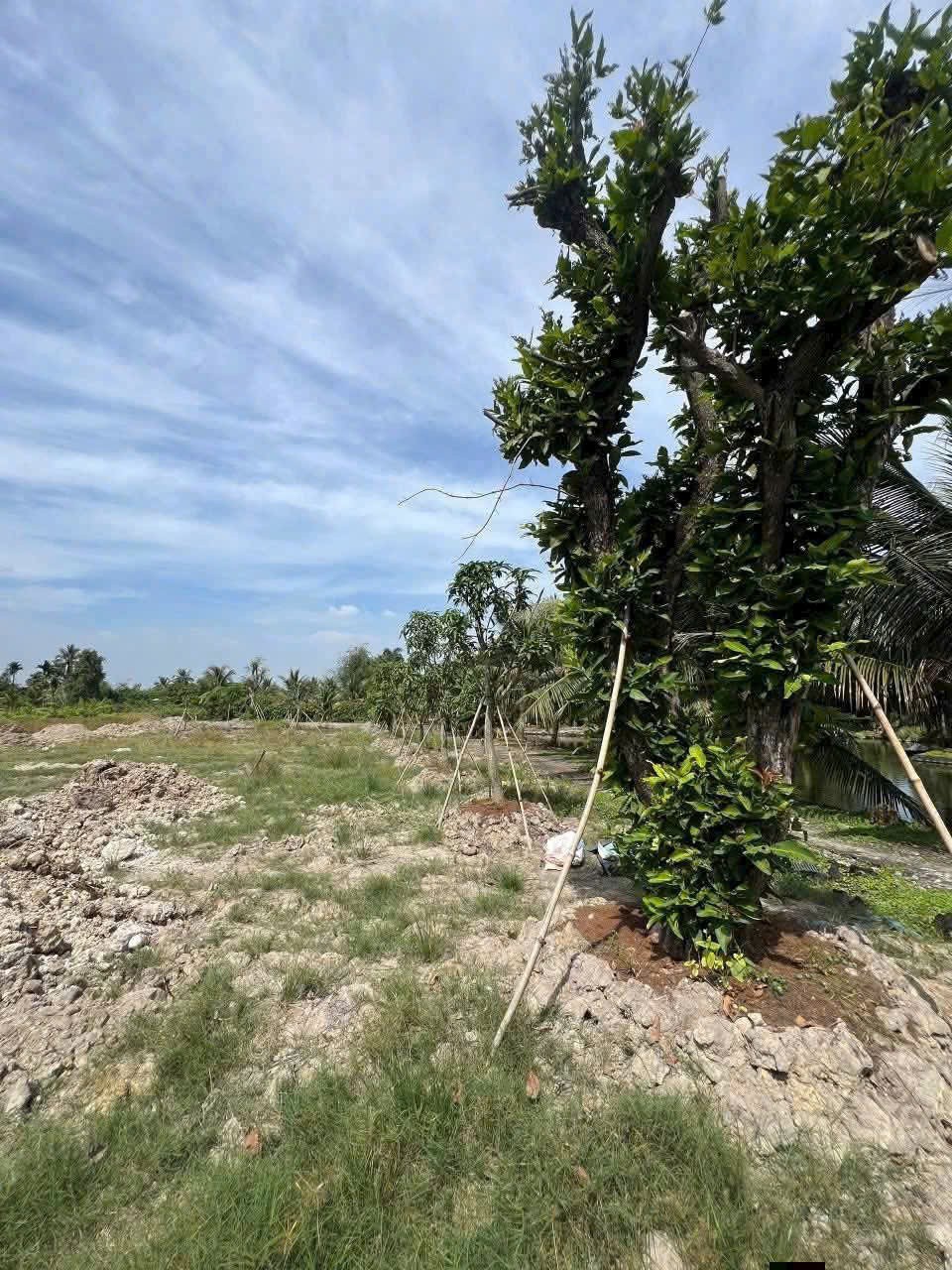 Bán đất thổ cư , đường beton xe 7 chổ , xã Nhựt Chánh , Bến Lức dt 1068m2 giá 3 tỷ 6