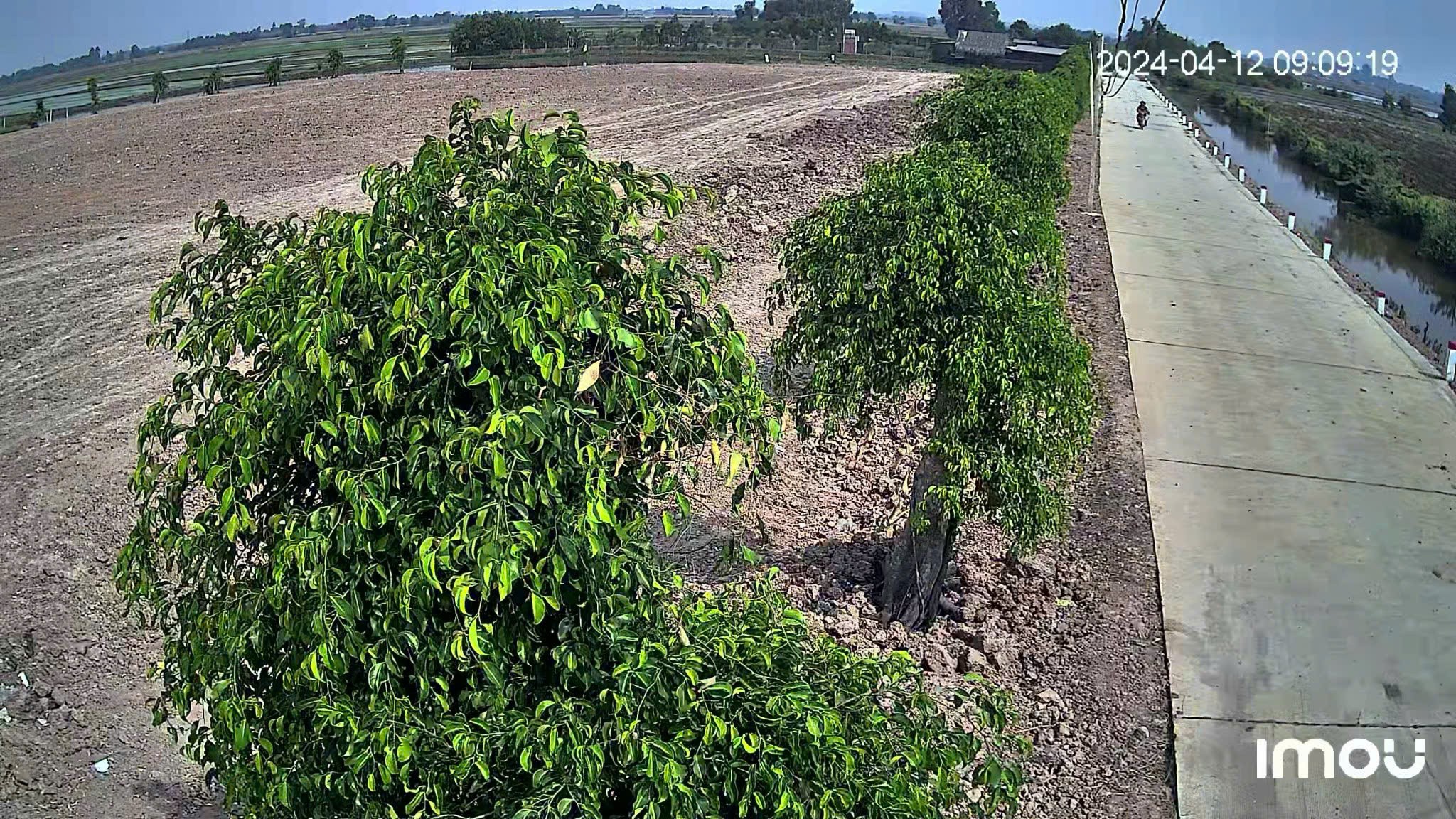 CCG KẸT BÁN GẤP 10.183m² ĐẤT 2 MẶT TIỀN TỈNH LỘ 7, THÁI MỸ, CỦ CHI 2