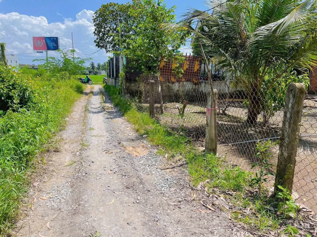 Bán nhà vườn mái thái xã Thanh Phú, Bến Lức tdt 1000m2 ( có 300m2 thổ cư ) giá giảm còn 5,3 tỷ 9