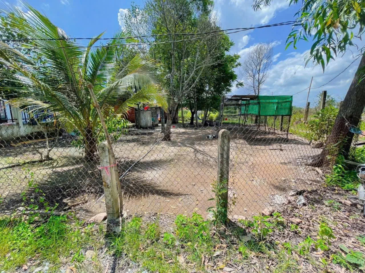 Bán nhà vườn mái thái xã Thanh Phú, Bến Lức tdt 1000m2 ( có 300m2 thổ cư ) giá giảm còn 5,3 tỷ 10