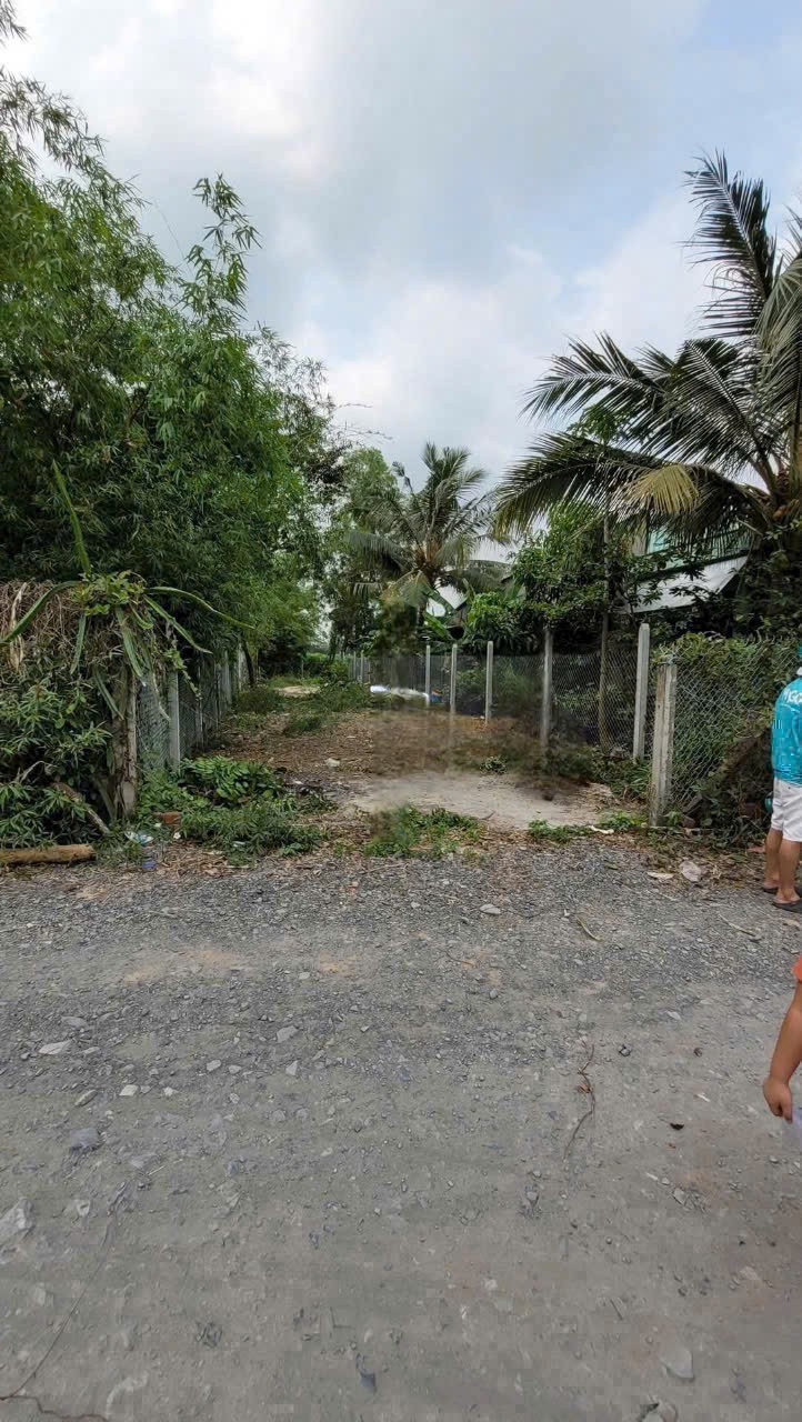 Bán đất thổ cư thị trấn Hậu Nghĩa , Đức Hòa cách tl 825 550m , dt 232,8m2 giá 1,55 tỷ