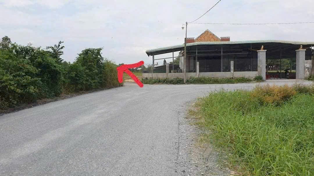 Bán đất thổ cư thị trấn Hậu Nghĩa , Đức Hòa cách tl 825 550m , dt 232,8m2 giá 1,55 tỷ 2