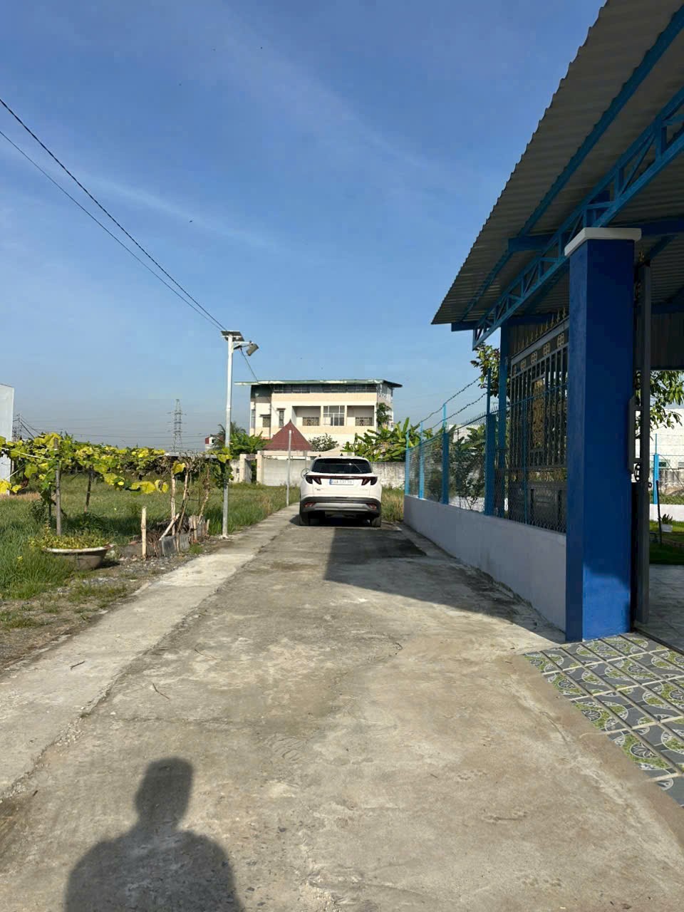 Bán nhà vườn đẹp ,2 mt đường xe tải xã An Nhựt Tân, Tân Trụ tdt 262,8m2 full thổ giá 2,65 tỷ 8